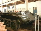t5xm33.jpg